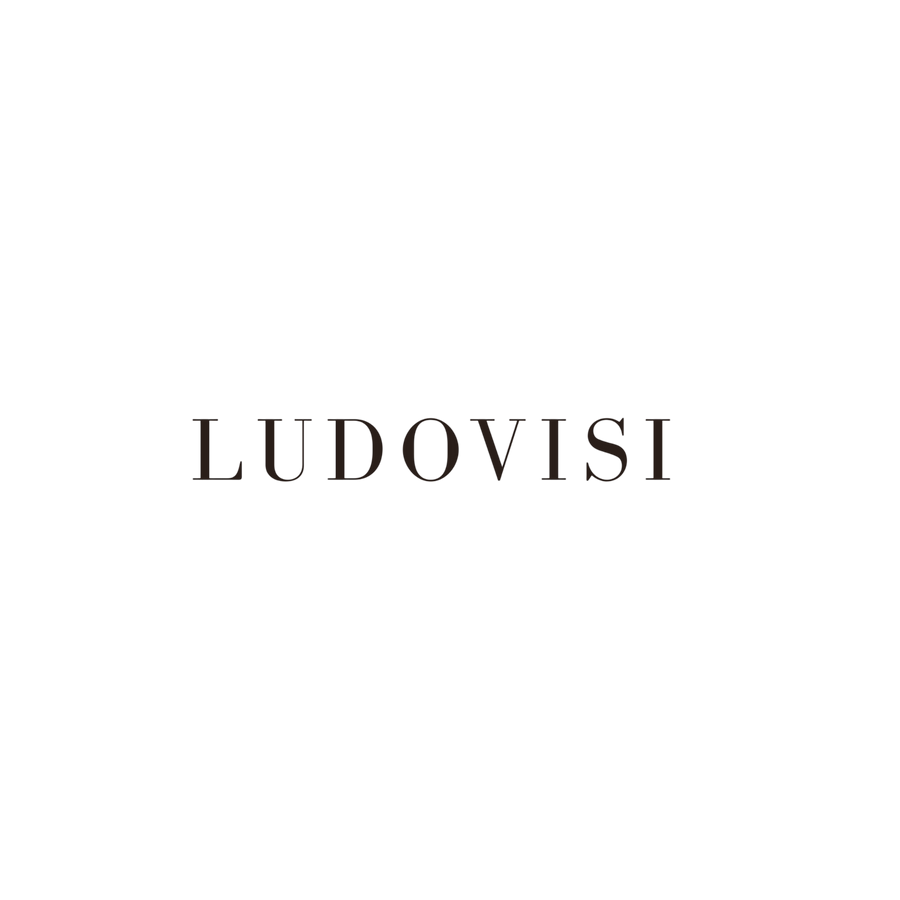 L U D O V I S I