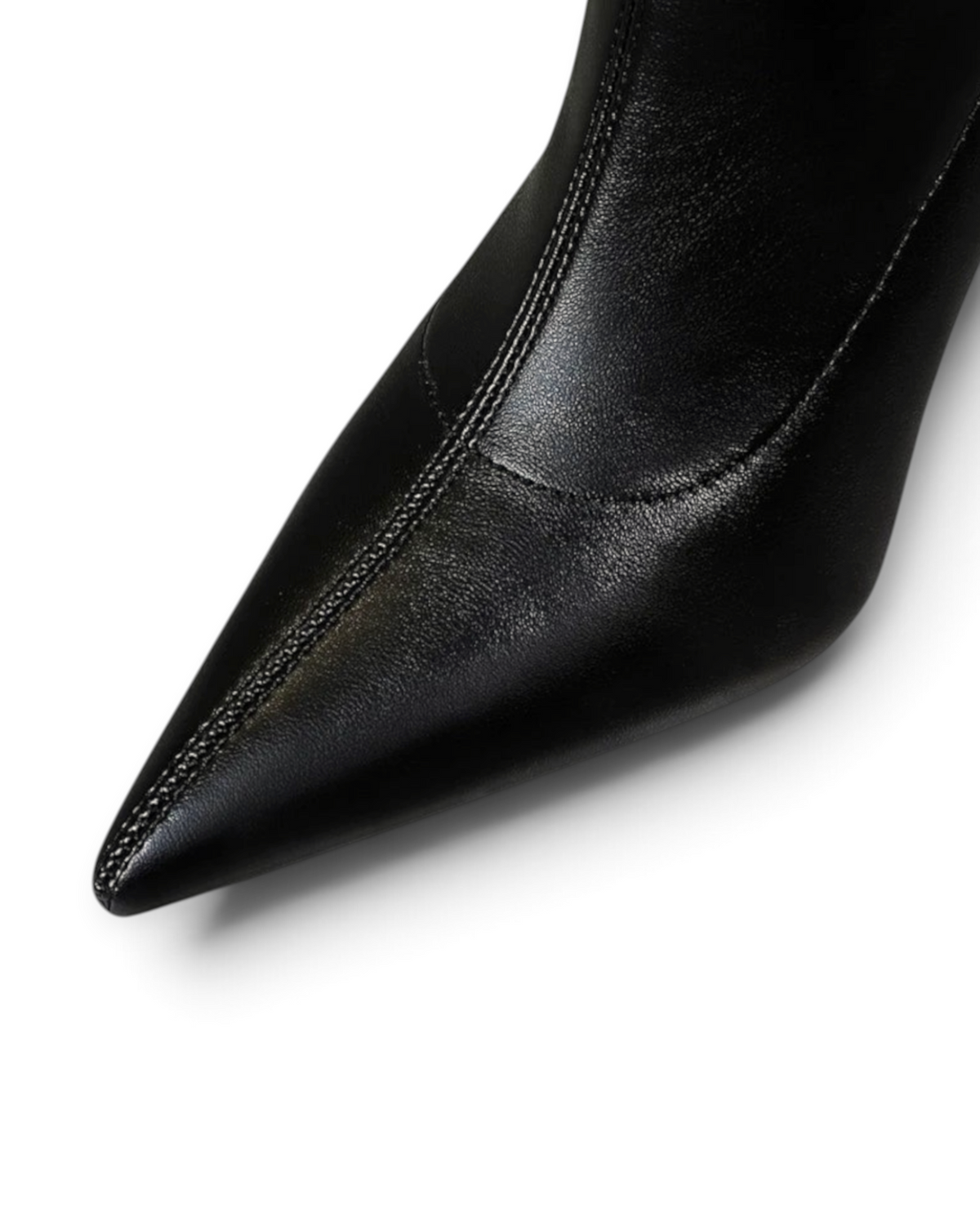 Cuissardes Serena LUDOVISI – bout pointu noir