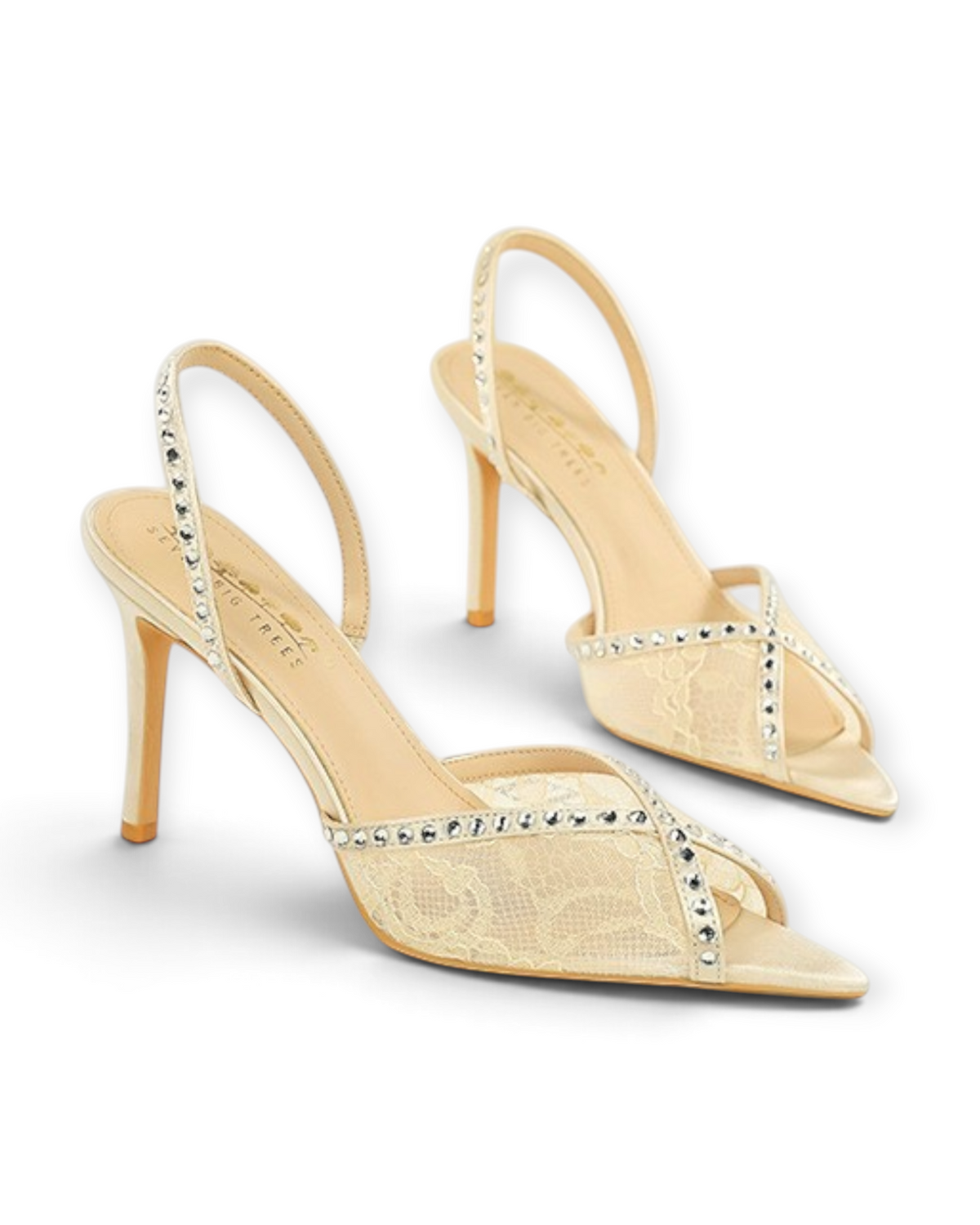 Escarpins Voile LUDOVISI – profil beige